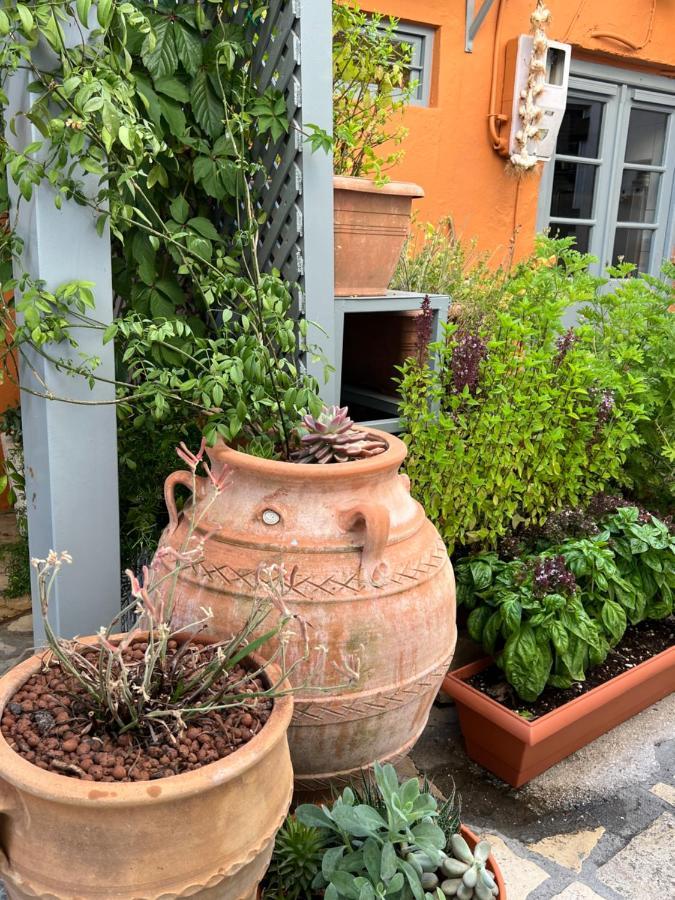 Tolos Budget Rooms Loggos Longos  Exterior photo